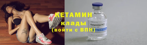 шишки Богородицк