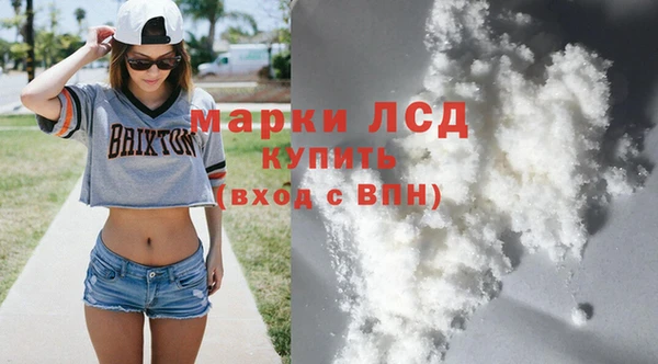 шишки Богородицк