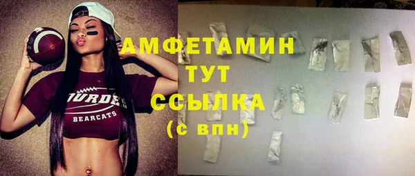 шишки Богородицк